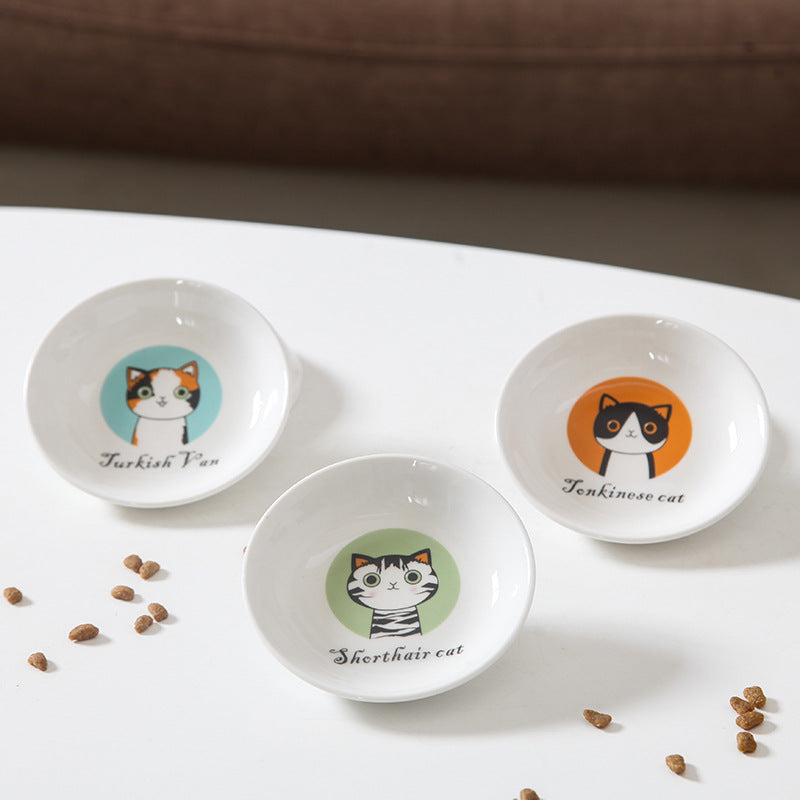 Casual dish for your kitties