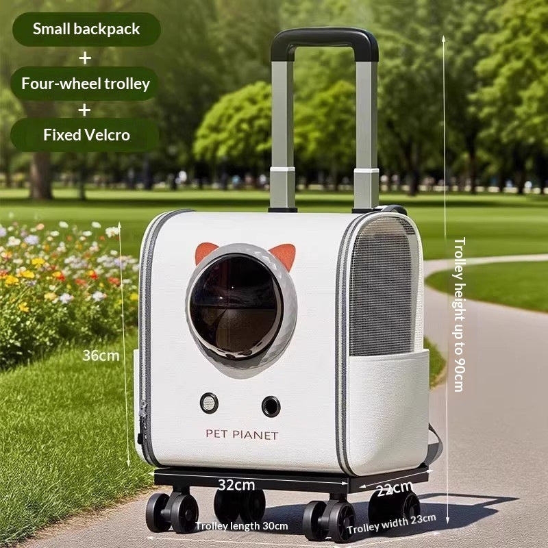 Cat suitcase carrier with wheels compact travel size