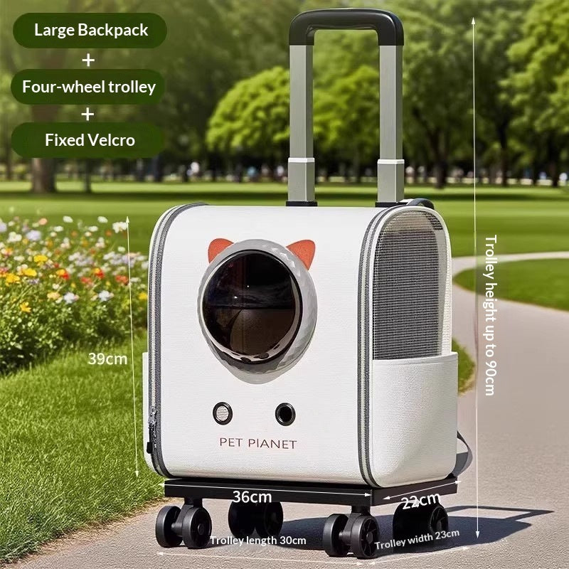 Large cat backpack on four wheel trolley with dimensions 39x36x22cm