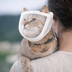Cat wearing white mesh muzzle outdoors calm and comfortable