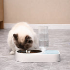 Cat eating from a bowl on a marble floor with a glass water fountain in the background.