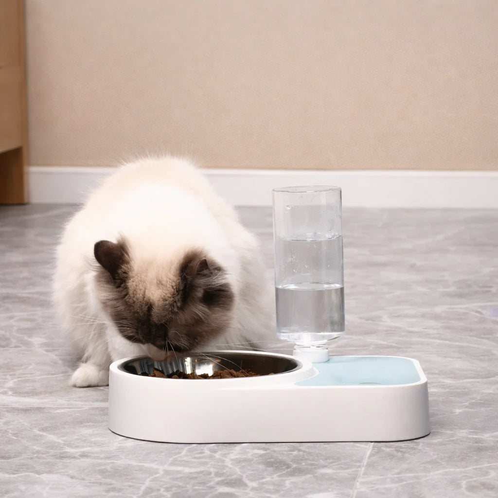 Cat eating from a bowl on a marble floor with a glass water fountain in the background.
