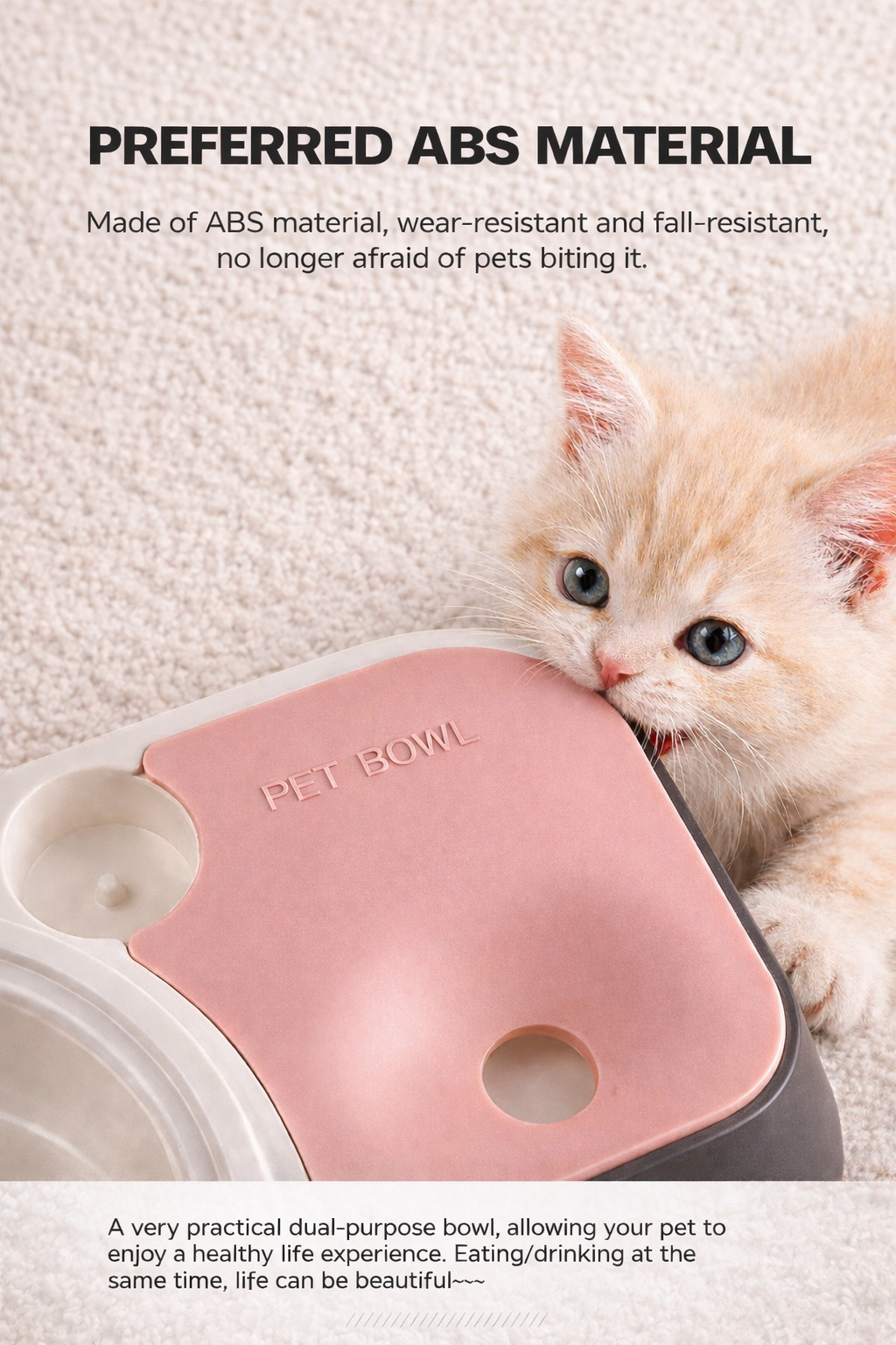 Pet bowl with kitten interacting, emphasizing durability and safety.