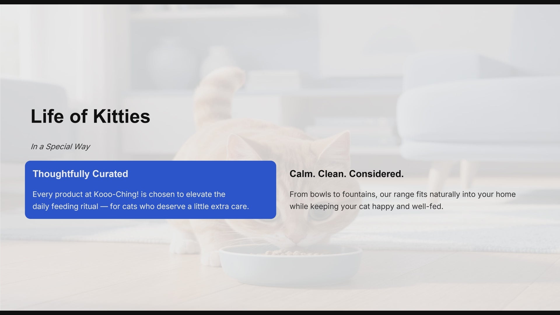 Benefits of buying cat products in the brand 'Kooo=Ching!'