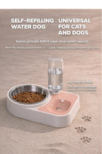 Pet water bowl with a glass of water and a bowl of food on a beige background