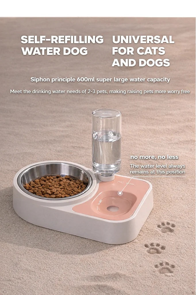 Pet water bowl with a glass of water and a bowl of food on a beige background